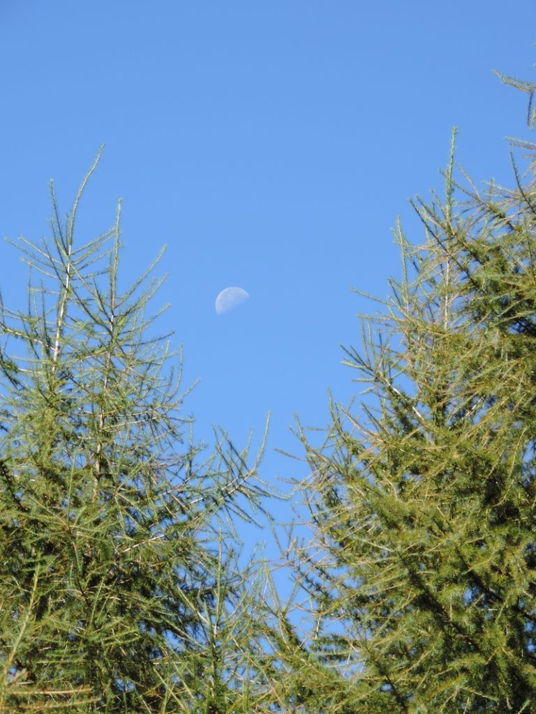 Le « raisonnable » est-il séduisant ?