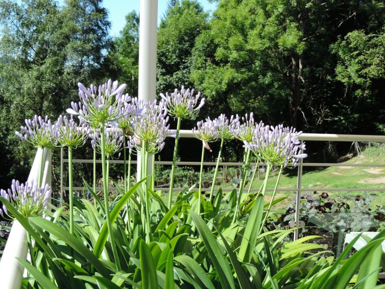 A quoi ressemble VOTRE rentrée ?