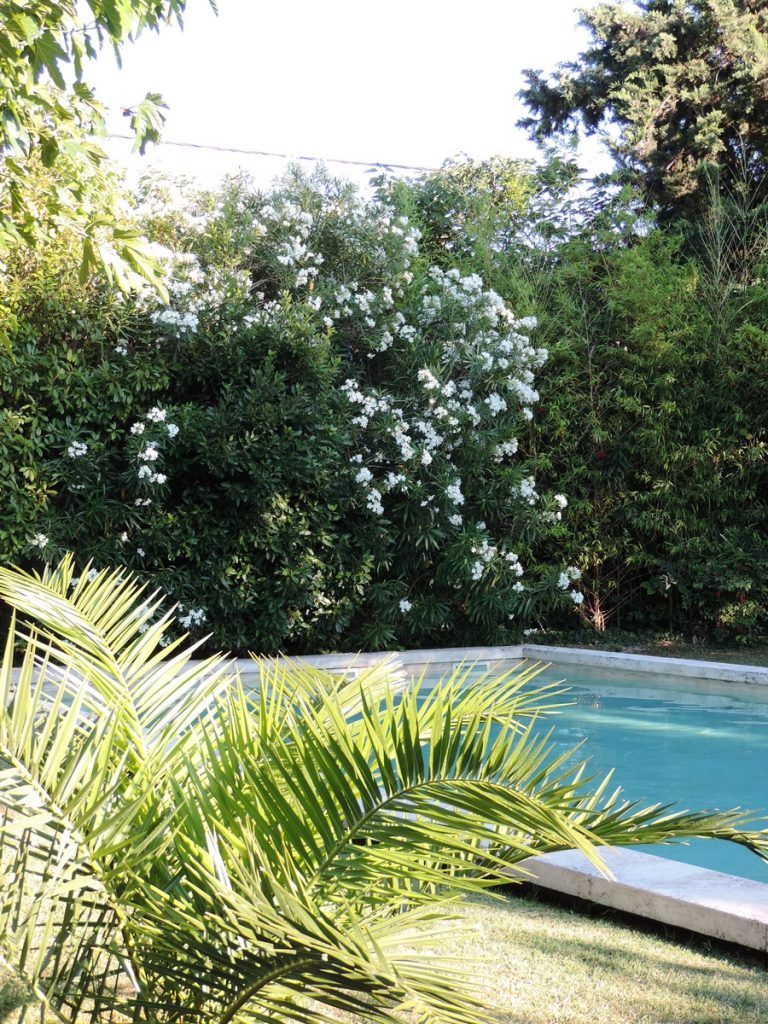 Avez vous des fans ?