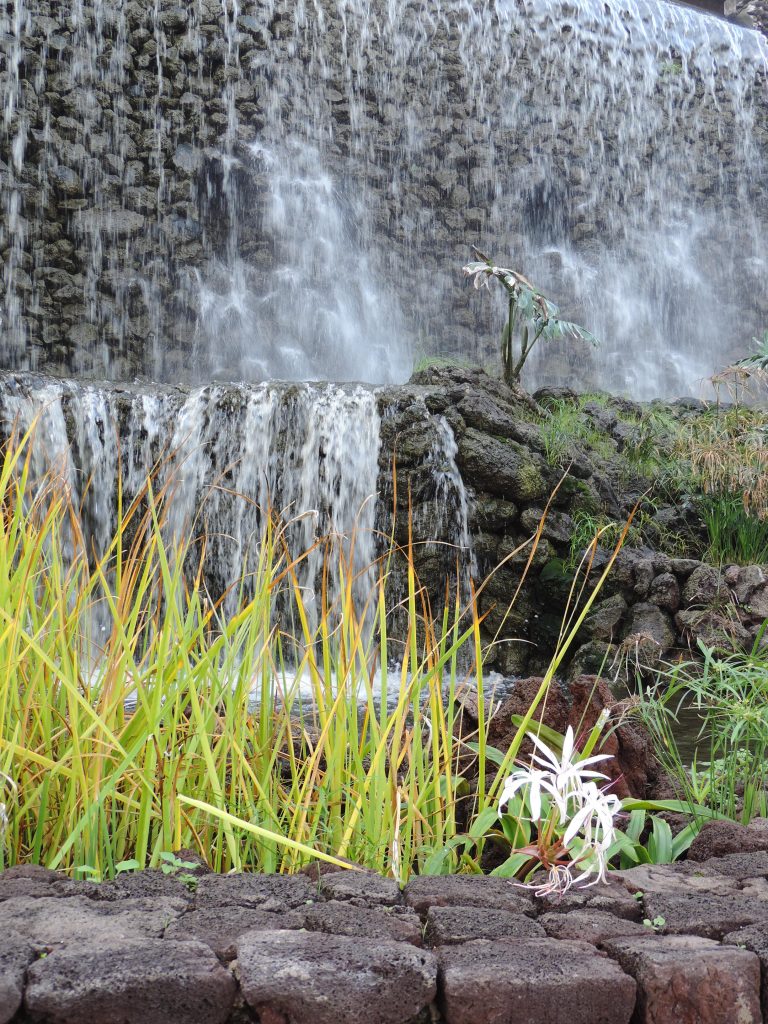 Profiter de l&rsquo;été pour se ressourcer, se former… et faire le plein d&rsquo;idées !