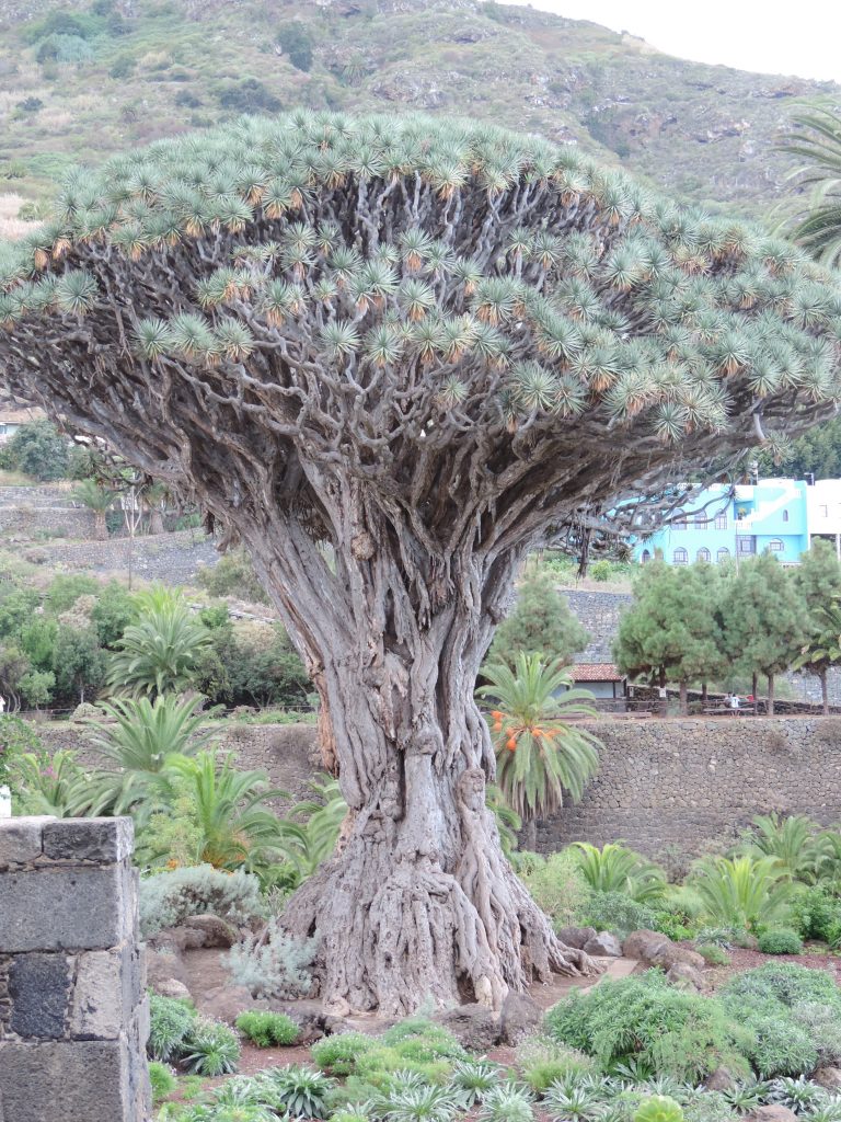 Le troisième pilier de l&rsquo;Ikigaï