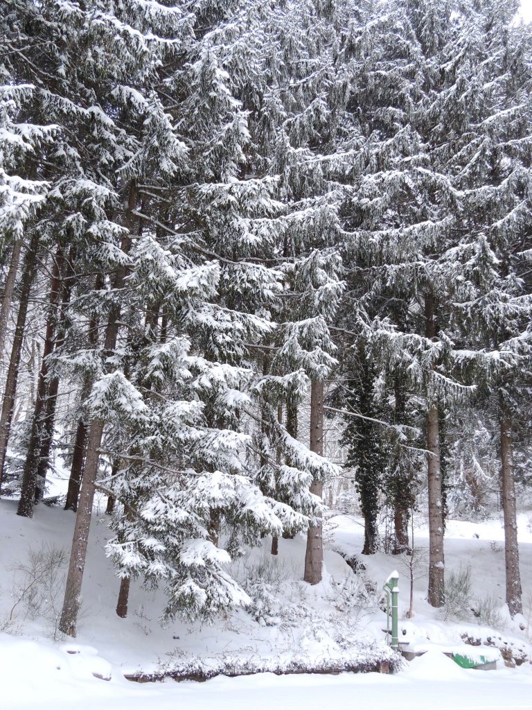 Ambiance hiver : retour à soi !