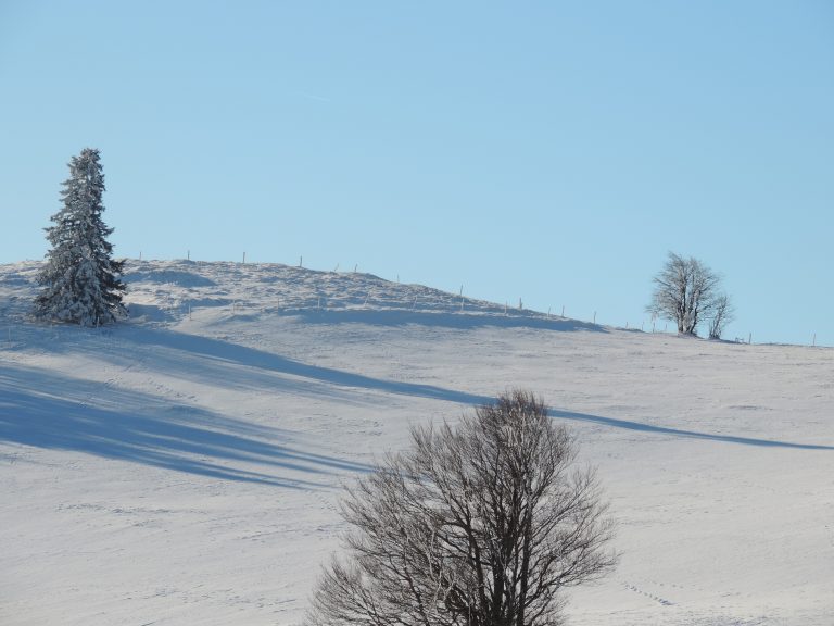 Garder confiance en mon projet