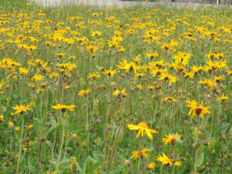 Cela vous arrive de vous sentir dépassé(e) par les évènements ?