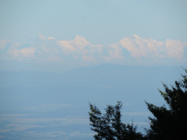 Votre projet : un rêve ou une réalité ?