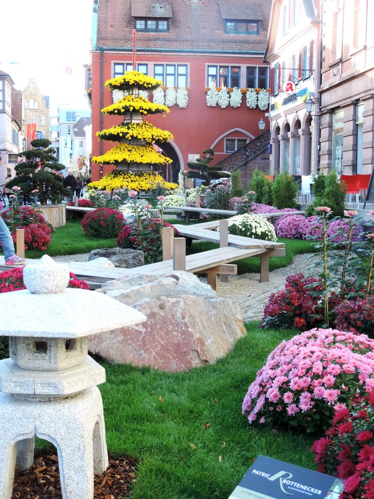 Kodawari et la bosse des madeleines !