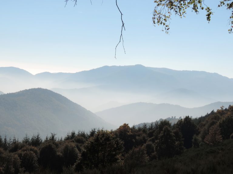 Nouvelle activité de la rentrée : performance ou bien-être ?