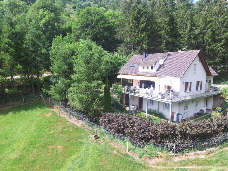 Y a-t-il un lien entre un drone et le Reiki ?