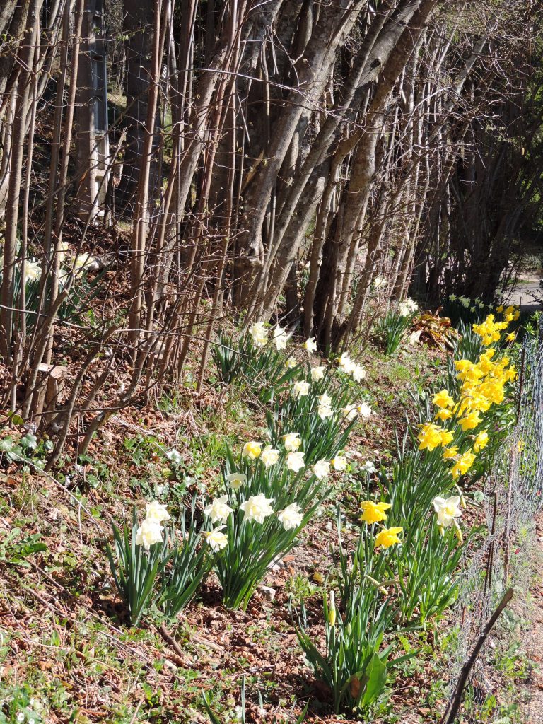 Confinement – trouver sa place