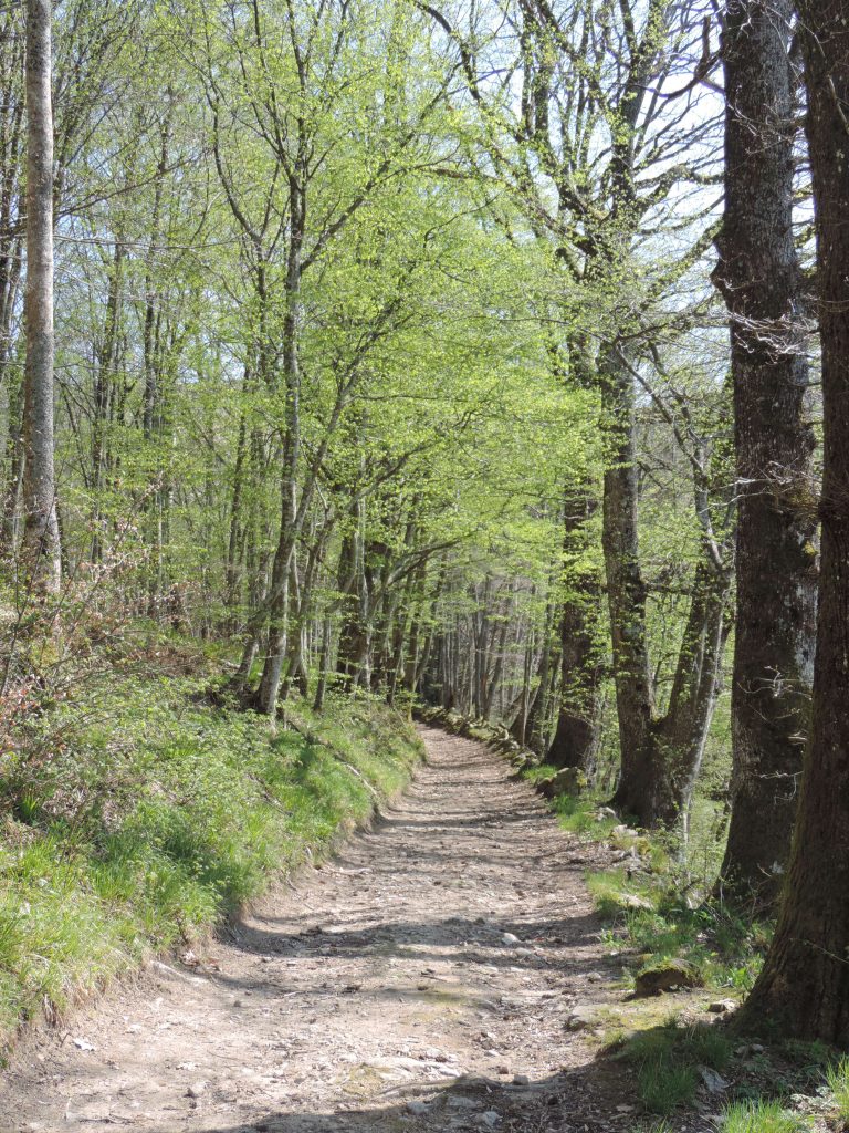 Le deuxième pilier de l&rsquo;Ikigaï