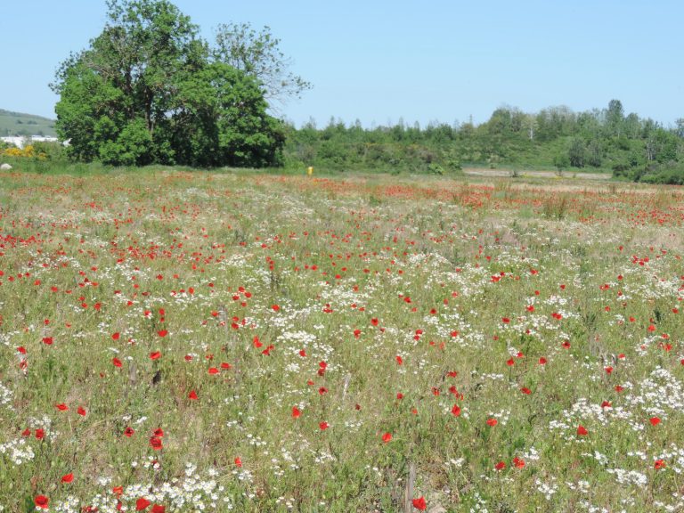 Déconfinement : la vie d&rsquo;avant, vraiment ?