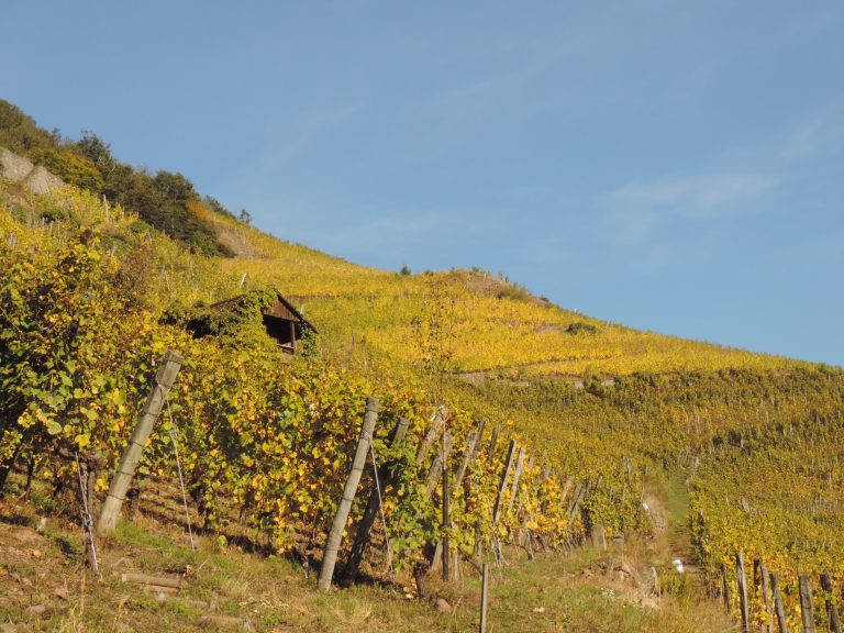 Lorsque le résultat n&rsquo;est pas celui qu&rsquo;on espérait