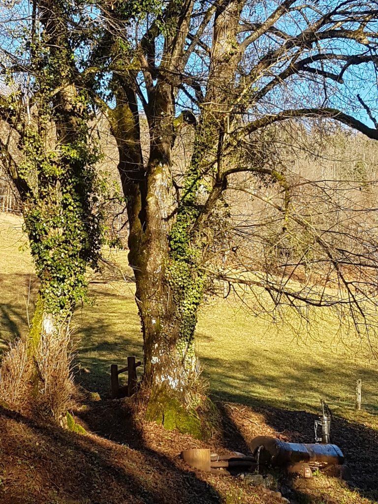 Pour que 2026 soit une bonne année !