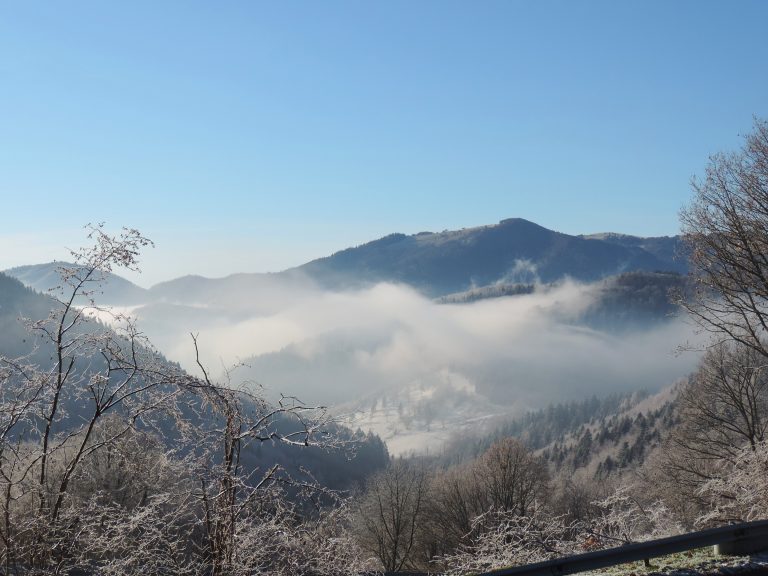 Avez-vous parfois trop d&rsquo;idées ?